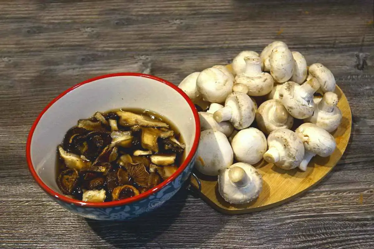 Грибы