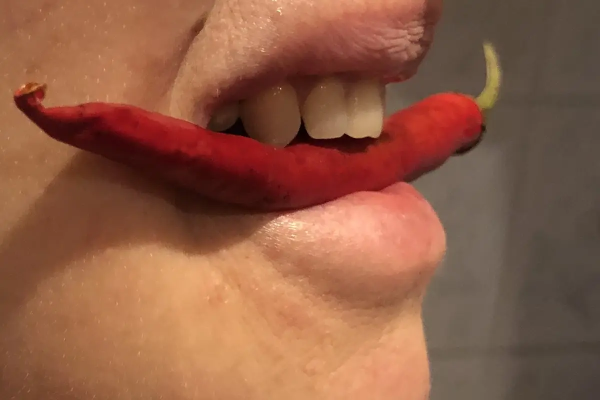 Рецепторы горького вкуса
