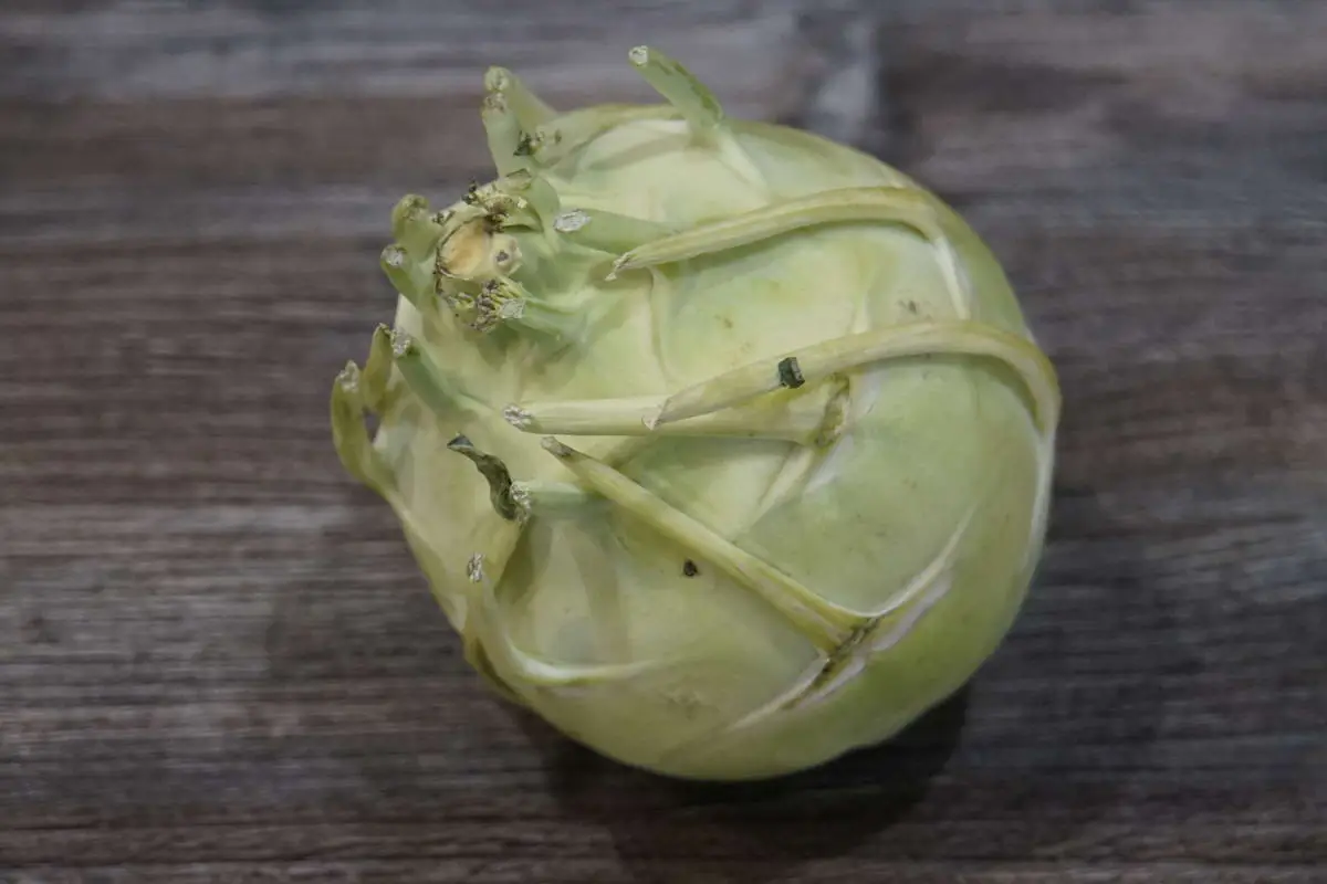 Капуста кольраби
