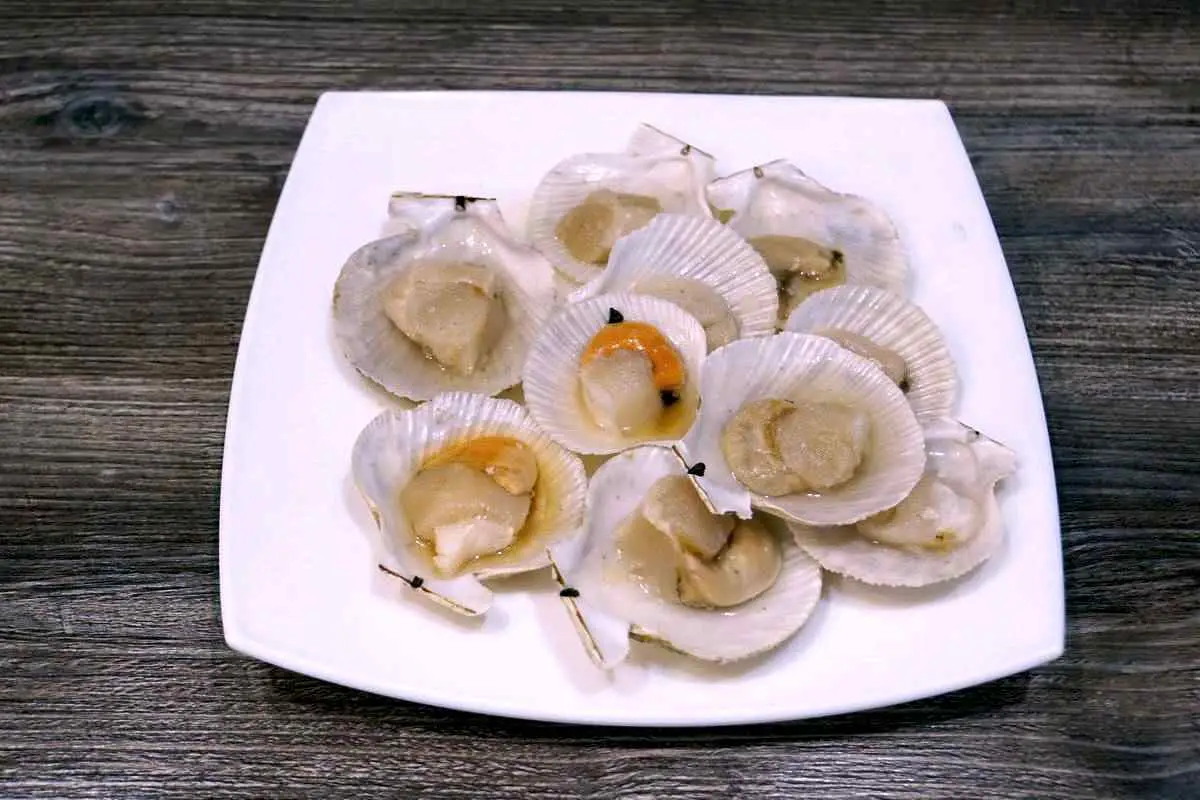 Морские гребешки